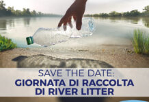 “Po salvamare”: Adbpo, Plastic Free e Legambiete uniti per la raccolta rifiuti sulle rive del Grande Fiume