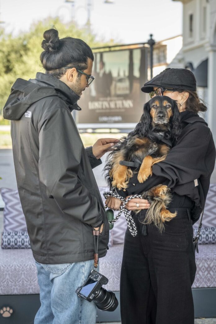 PONT2063Cani_3710549