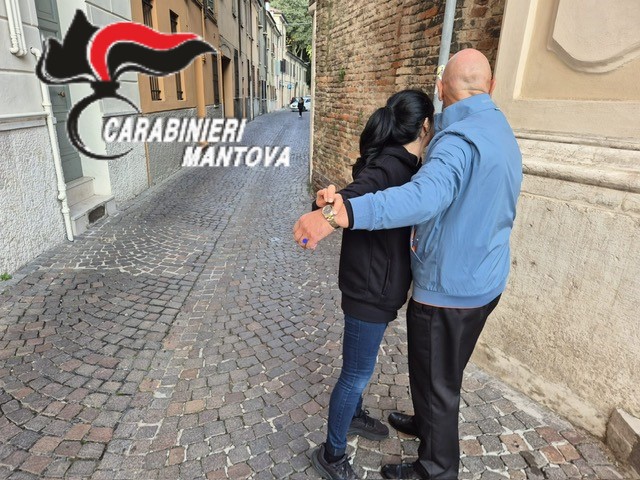 Rapina Castel_3730143 Rapina Castel_3730143