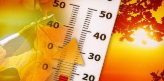 Clima più freddo da martedì con cielo soleggiato. Scongiurato per ora il rischio di gelate tardive