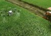 Si ai droni nei campi, Confagricoltura: “Sperimentazione importante per garantire sostenibilità e produttività
