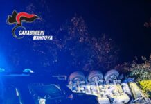 Camion esce di strada a Governolo, ferito l’autista