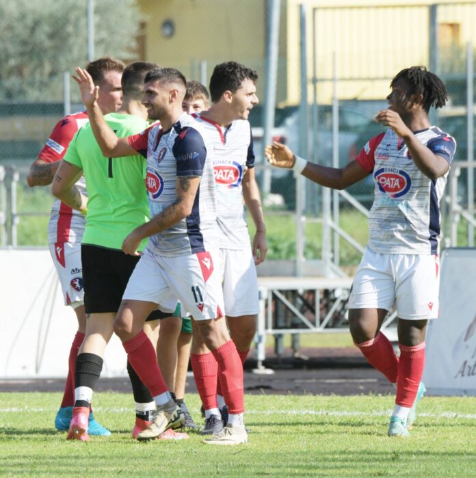 scidone_3739843 scidone_3739843