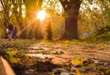 Settimana soleggiata e con clima mite ma con l’incognita della nebbia