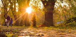 Settimana soleggiata e con clima mite ma con l’incognita della nebbia