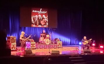 Il Concerto per la Vita: tu chiamale se vuoi… emozioni