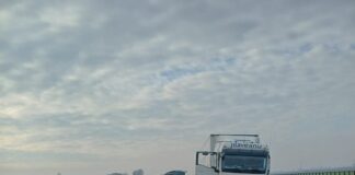 Malore alla guida, autotrasportatore muore in A22. Cinque chilometri di coda a Mantova Nord in direzione del Brennero