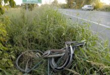 Tante ciclabili ma è record di incidenti per i nostri ciclisti: la provincia di Mantova 6ª in Italia