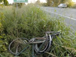 Tante ciclabili ma è record di incidenti per i nostri ciclisti: la provincia di Mantova 6ª in Italia