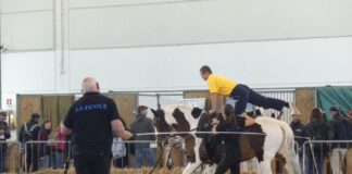 Casa del Sole protagonista a Fieracavalli Verona