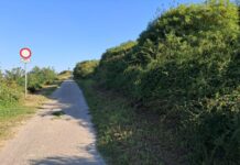 “Argine sepolto da sterpaglie” L’allarme della minoranza