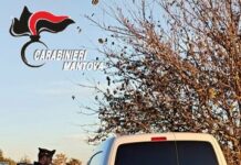 Controlli in città: fermato un 52enne al volante ubriaco e positivo alla cocaina