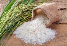 Riso lombardo, produzione in calo ma qualità buona: allarme prezzi e concorrenza estera