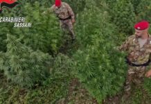 Blitz antidroga in Sardegna, 21 misure cautelari