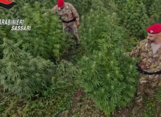 Blitz antidroga in Sardegna, 21 misure cautelari