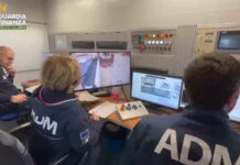 Sequestrati 248 chili di cocaina al porto di Gioia Tauro