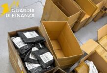 Castiglione delle Stiviere, maxi sequestro di abbigliamento contraffatto: 82 mila pezzi e 350 mila euro di giro d’affari