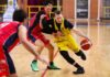 Basket serie C – Viadana deve rialzare la testa. Spaggiari: “Obiettivo riscatto al PalaFarina col Gorgonzola”