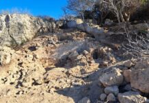 Archeologo mantovano scopre a Paphos una villa romana del 3° secolo dopo Cristo 7f43d476-8c4f-4c1b-b7c0-f7dee86291b7_3818086