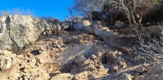 Archeologo mantovano scopre a Paphos una villa romana del 3° secolo dopo Cristo 7f43d476-8c4f-4c1b-b7c0-f7dee86291b7_3818086