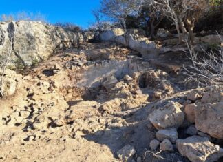 Archeologo mantovano scopre a Paphos una villa romana del 3° secolo dopo Cristo 7f43d476-8c4f-4c1b-b7c0-f7dee86291b7_3818086