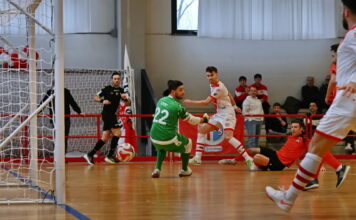 Calcio a 5 Serie A – Il Saviatesta si rinforza con Achilli: “Un’opportunità per rilanciarmi”