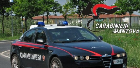Controlli dei carabinieri: denunce, sequestri e sanzioni