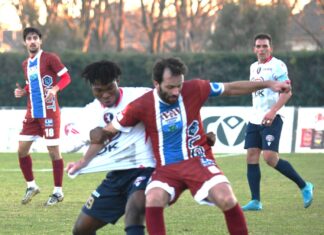 Calcio Eccellenza – Laudini: “Castiglione, su la testa” DSC_0597