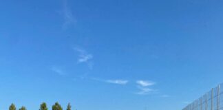 Calcio 1a Categoria – Gonzaga, si dimette il ds Lo Vasto Gonzaga