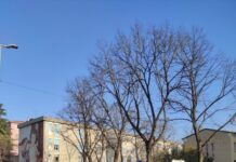 Polizia Locale recupera bici da 2mila euro: giovane deferito alla Procura