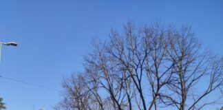 Polizia Locale recupera bici da 2mila euro: giovane deferito alla Procura