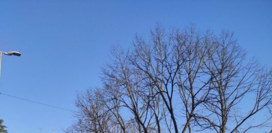 Polizia Locale recupera bici da 2mila euro: giovane deferito alla Procura