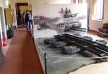 Museo di Felonica, la Lega preme in Regione: “Serve una nuova sede”