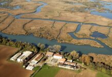 Parco del Mincio: assegnati gli encomi 2025 alle Guardie Ecologiche Volontarie