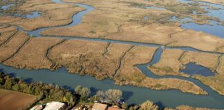 Parco del Mincio: assegnati gli encomi 2025 alle Guardie Ecologiche Volontarie