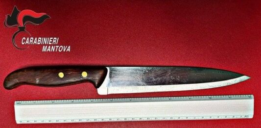 Violenza in famiglia a Porto Mantova: uomo accoltellato, donna in psichiatria