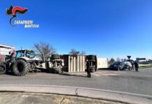 Carico di maiali si ribalta a Castellucchio, una trentina i capi tra morti e abbattuti