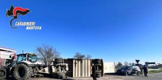 Carico di maiali si ribalta a Castellucchio, una trentina i capi tra morti e abbattuti