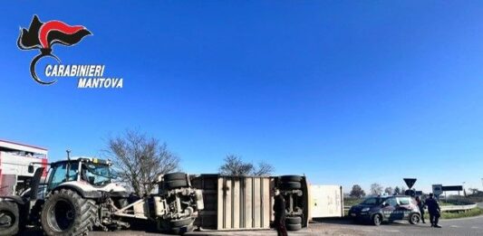 Carico di maiali si ribalta a Castellucchio, una trentina i capi tra morti e abbattuti