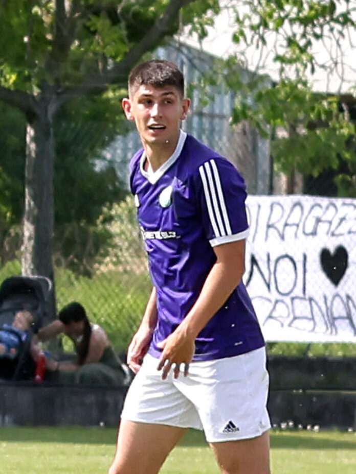 narcelli_3800377 narcelli_3800377