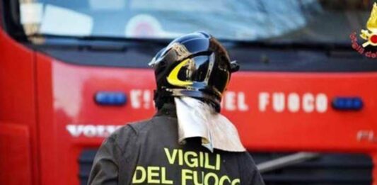 Vento forte nel Mantovano, alberi caduti e disagi in città e provincia