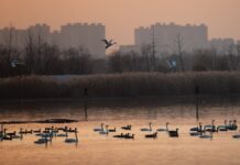 Ambiente, migliorano i parametri in Cina nel 2025