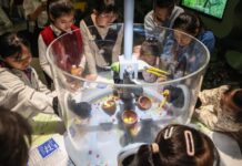 Cina, in aumento gli investimenti per la divulgazione scientifica