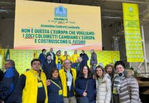 Tutela Made in Italy: Mantova si fa sentire