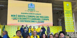 Tutela Made in Italy: Mantova si fa sentire