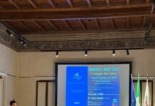 Sicurezza e baby gang, sala piena per l’incontro di Mantova Futura