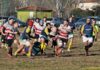 Rugby Serie C – Mantova, formula e avversarie per la corsa alla B