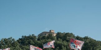 Riflessioni sul periodo matildico al Museo del Po di Revere
