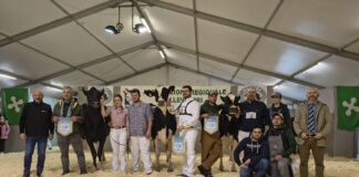 Più di 7.000 presenze a Bovimac 2026: un successo