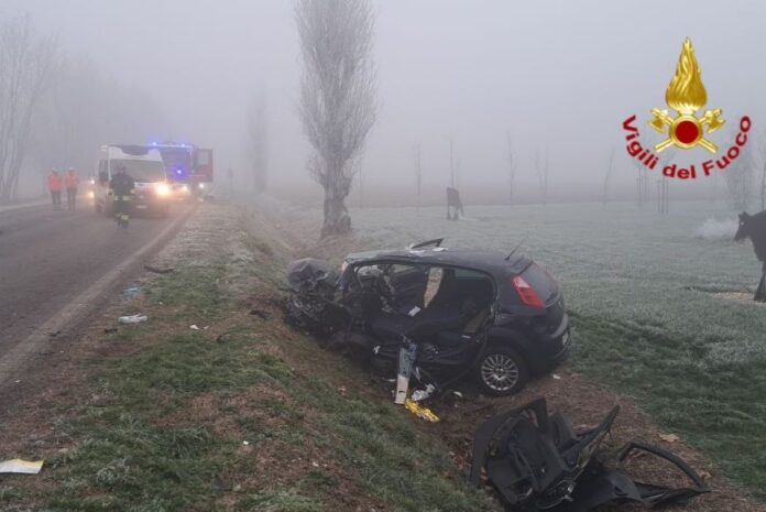 IMG_20260108_083817_828